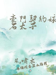 豪门契约嫁给钻石太子