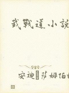 武战道小说