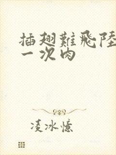 插翅难飞陆进第一次肉