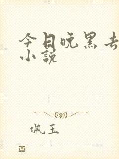 今日晚黑去见你小说