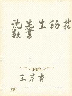 沈先生的花式调数书