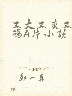 又大又爽又黄无码A片小说