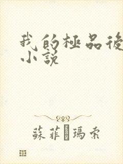 我的极品后宫 小说