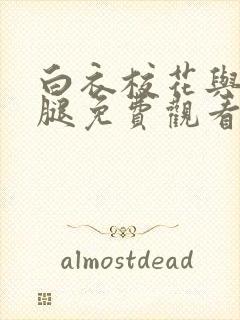 白衣校花与大长腿免费观看电视剧