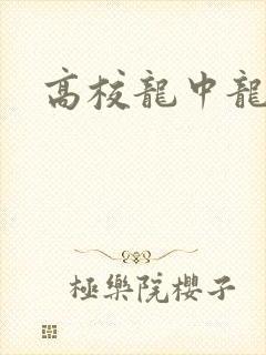 高校龙中龙
