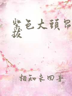 紫色大头昂扬挺拔