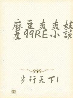 麻豆爽爽妓女国产99RE小说