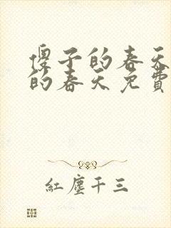 傻子的春天傻子的春天免费读