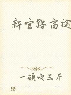 新官路商途