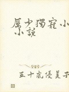 厉少独宠小娇妻 小说