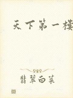 天下第一楼高清