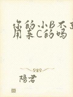 你的小B不就是用来C的吗