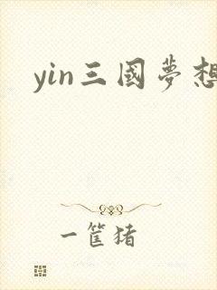 yin三国梦想