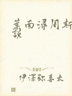 叶南浔周斯年小说