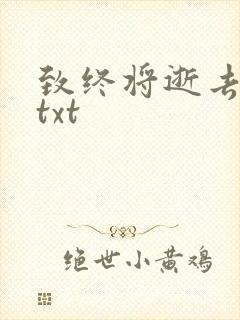 致终将逝去青春txt