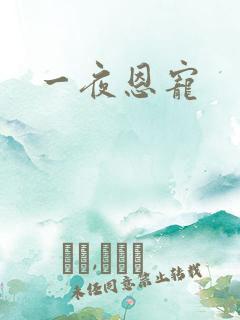 一夜恩宠