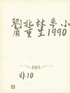 刘北林梦小说主角重生1990