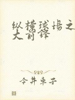 纵横球场之暴力大前锋