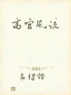 高官风流