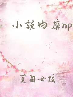 小说肉糜np