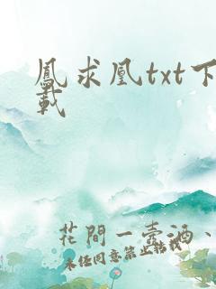 凤求凰txt下载