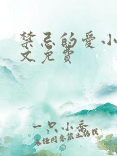 禁忌的爱小说全文免费