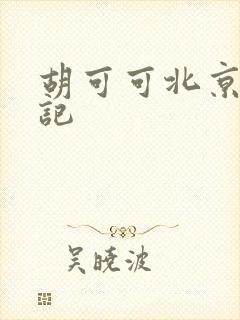 胡可可北京成功记