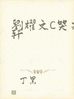 刘耀文C哭宋亚轩