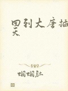 回到大唐插武则天