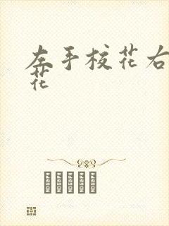 左手校花右手系花