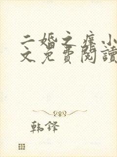 二婚之痒小说全文免费阅读