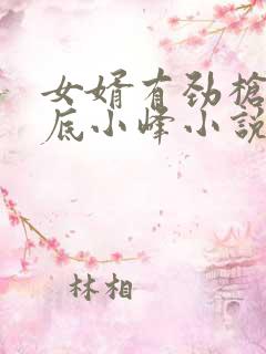 女婿有劲枪枪到底小峰小说