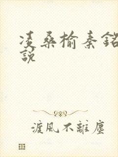 凌桑榆秦铭畅小说