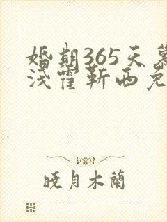 婚期365天慕浅霍靳西免费阅读