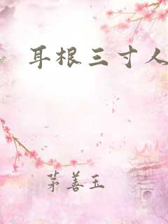 耳根三寸人间
