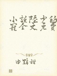 小说陆少的心尖宠全文免费阅读