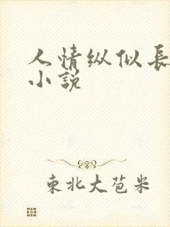 人情纵似长情月小说