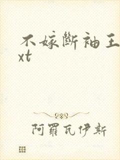 不嫁断袖王爷txt