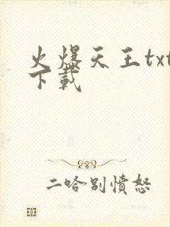 火爆天王txt下载