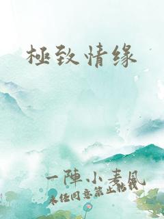 极致情缘