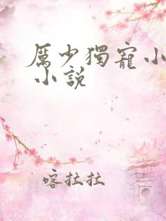 厉少独宠小娇妻 小说