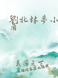 刘北林梦小说主角