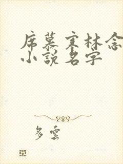 席慕寒林念儿的小说名字