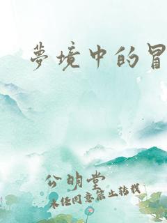 梦境中的冒险家