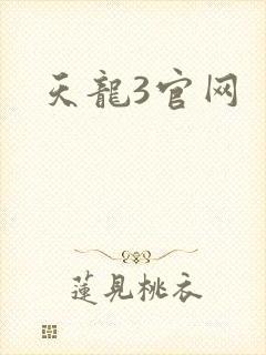 天龙3官网