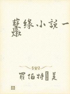 孽缘小说一家乱炖