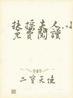 扶摇夫人.小说免费阅读