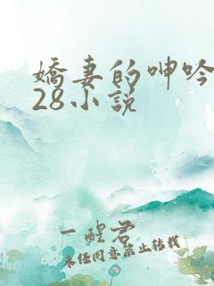 娇妻的呻吟1—28小说