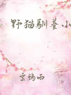野猫驯养小说
