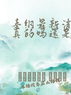 秦纲最新消息是真的吗还是假的